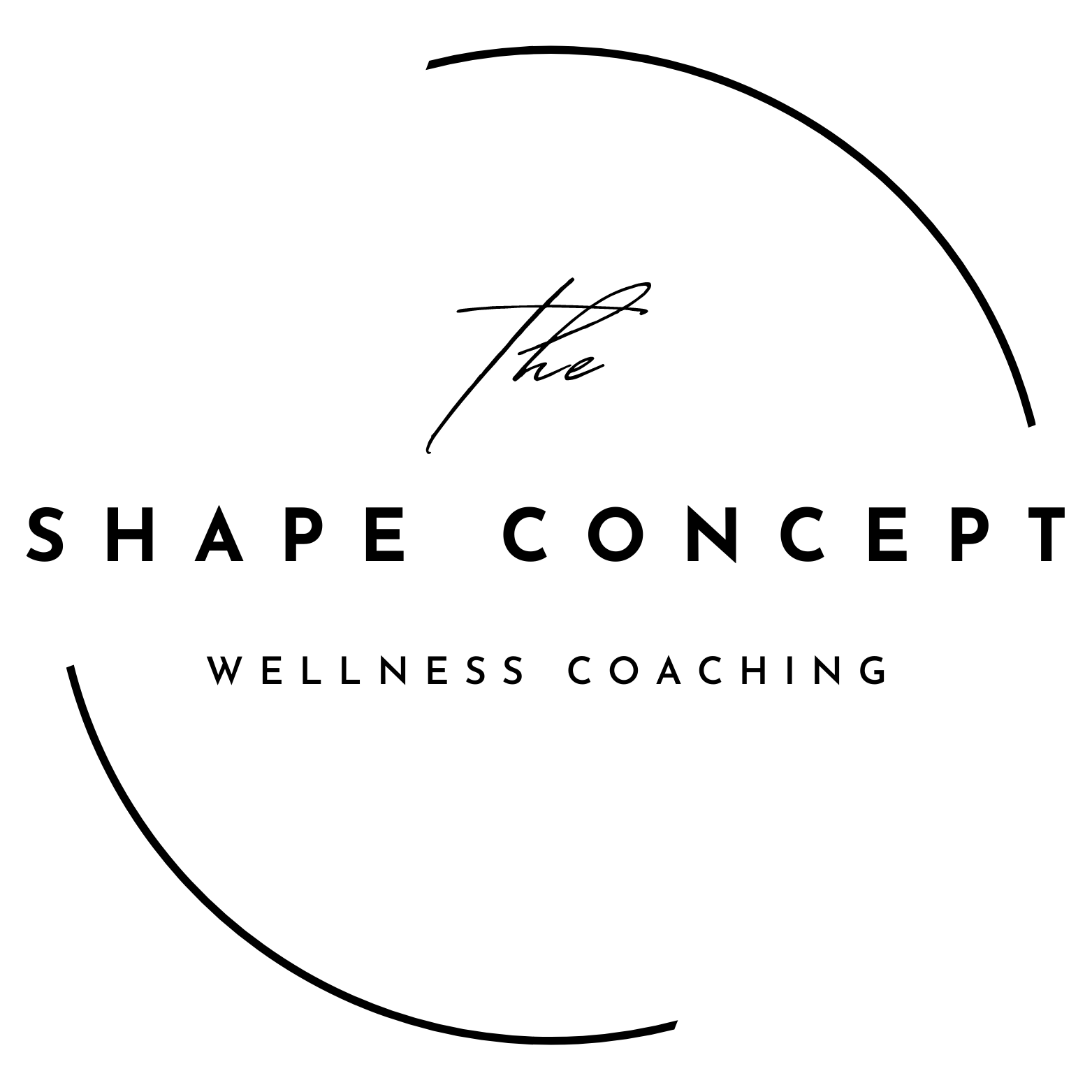 TheShapeConcept